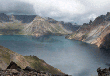 Fossilised tree and ice cores help date huge volcanic eruption 1,000 years ago to within three months