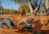 Humans, not climate change, wiped out Australian megafauna
