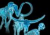 Ice Age ‘skeleton crew’ offers insights for today’s endangered species