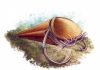 Paleontologists classify mysterious ancient cone-shaped sea creatures