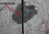 Rare meteorites challenge our understanding of the solar system