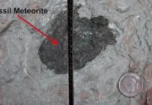Rare meteorites challenge our understanding of the solar system