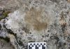Research sheds new light on high-altitude settlement in Tibet