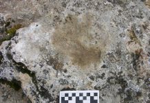 Research sheds new light on high-altitude settlement in Tibet