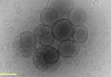 Simple fats, amino acids to explain how life began
