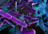 Study of microbes reveals new insight about Earth’s geology, carbon cycles