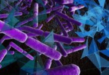 Study of microbes reveals new insight about Earth’s geology, carbon cycles