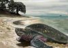 Terrestrial Mesozoic ninja turtles