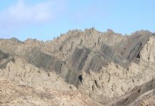 Understanding new evidence of the impact of climate change in the Early Jurassic Period