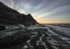 When the Arctic coast retreats, life in the shallow water areas drastically changes