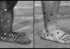 Chimpanzee feet allow scientists a new grasp on human foot evolution