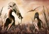 Giant flying reptile ruled ancient Transylvania