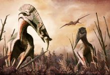 Giant flying reptile ruled ancient Transylvania