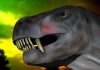 Kiss of death: Mammals were the first animals to produce venom