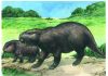 Rare fossils of giant rodents raise questions