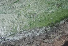 Study breathes new life into 2.3 billion year old ‘Great Oxidation Event’