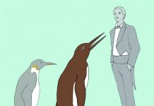 The oldest fossilized giant penguin