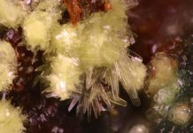 Three new uranium minerals from Utah