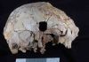 400,000-year-old fossil human cranium is oldest ever found in Portugal