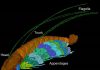 430 million-year-old fossil named after Sir David Attenborough