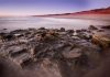 ‘Australia’s Jurassic Park’ the world’s most diverse
