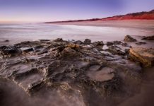 ‘Australia’s Jurassic Park’ the world’s most diverse