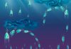 How plankton cope with turbulence