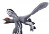 Lasers flesh out dino-bird profile