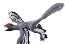 Lasers flesh out dino-bird profile