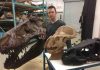 Male or female? Scientist challenges evidence of sex differences among dinosaurs