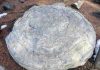Massive, computer-analyzed geological database reveals chemistry of ancient ocean