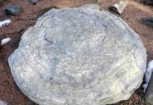 Massive, computer-analyzed geological database reveals chemistry of ancient ocean