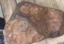 Mega Meteorite “Largest Space Rock Ever Found in State”