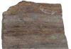 What is Monomineralic Rock?