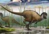 New study shakes the roots of the dinosaur family tree