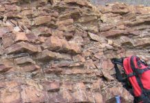 One of greatest mass extinctions was due to an ice age and not to Earth’s warming