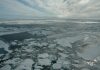 Rapid decline of Arctic sea ice a combination of climate change and natural variability