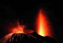 Recovery after ‘great dying’ was slowed by more extinctions