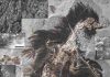 Scientists make new discovery about bird evolution