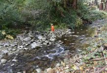 Study shows how river channels adjust to large sediment supplies