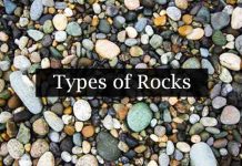 Types of Rocks