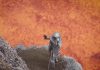 Taking Selfie at Crater Base