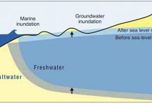 As sea level rises, much of Honolulu and Waikiki vulnerable to groundwater inundation