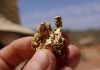 States With Gold : Where Are Gold Mines In The United States? Gold nugget found in the field. Credit: University of Adelaide