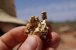 Gold nugget found in the field. Credit: University of Adelaide
