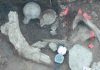 Cerutti Mastodon: The earliest evidence of humans in North America