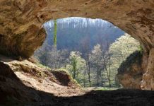 DNA from extinct humans discovered in cave sediments
