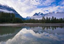 Discovery in northern lakes may be key to understanding early life on Earth