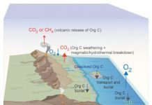 Early organic carbon got deep burial in mantle