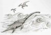 Hunter’s find leads to discovery of prehistoric sea creature
